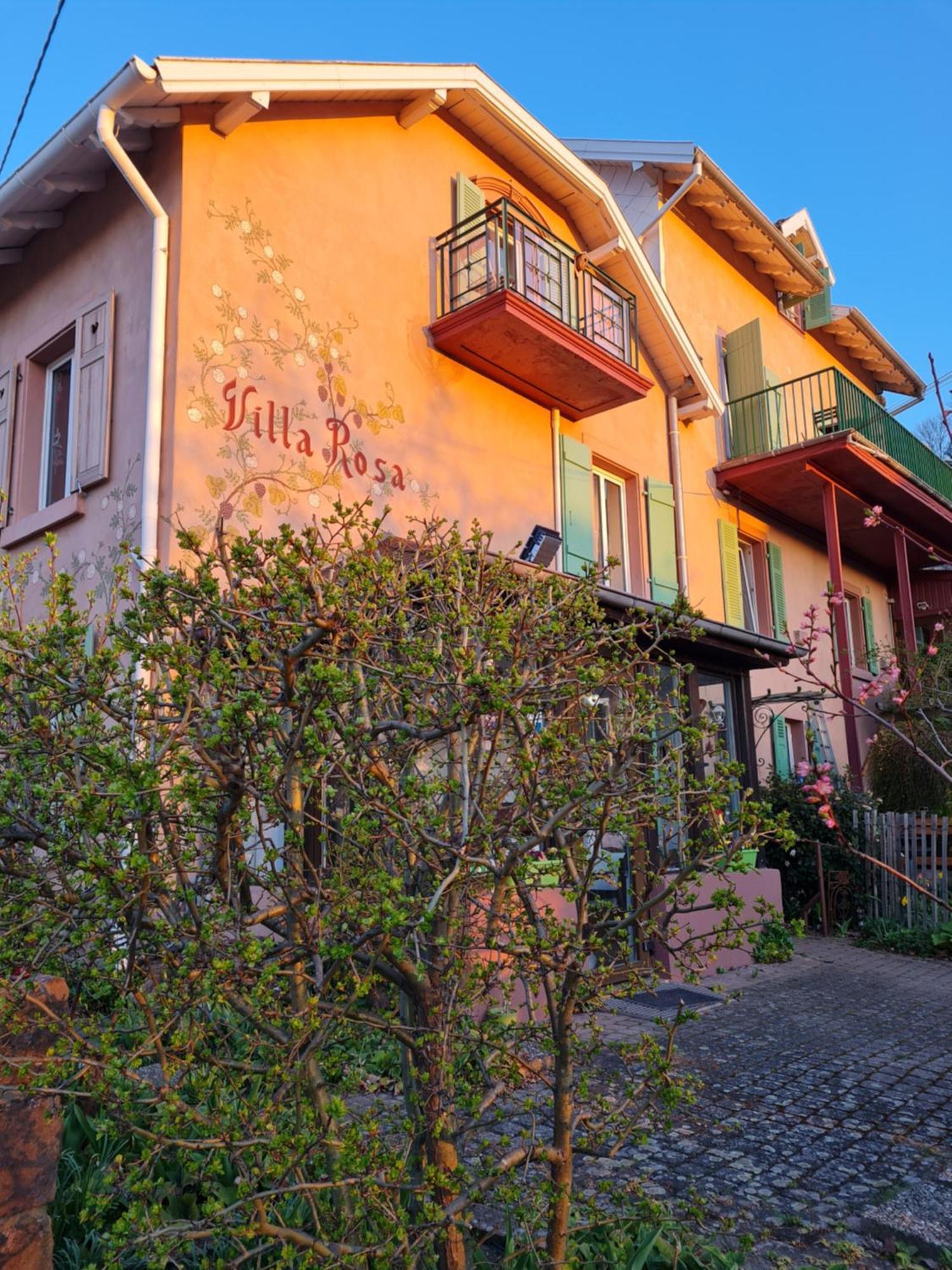 Villa Rosa Trois Epis Exterior photo